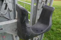 BATEMAN CATTLE HEAD YOKE AND RACE - 17