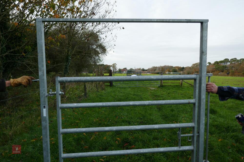 BATEMAN CATTLE GATE IN FRAME