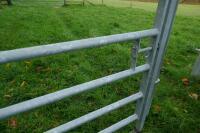 BATEMAN CATTLE GATE IN FRAME - 4