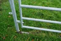 BATEMAN CATTLE GATE IN FRAME - 5