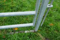 BATEMAN CATTLE GATE IN FRAME - 6