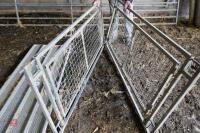 IFOR WILLIAMS SHEEP PARTITION GATE - 6