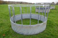 GALVANISED YEARLING CATTLE FEEDER - 2