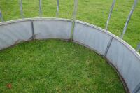 GALVANISED YEARLING CATTLE FEEDER - 7