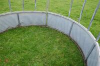 GALVANISED YEARLING CATTLE FEEDER - 10