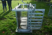 FARM IT 3000 SHEEP WEIGHER/CRUSH - 15