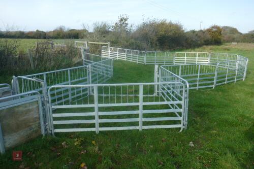 PRATTLEY SHEEP HANDLING SYSTEM