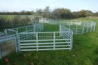 PRATTLEY SHEEP HANDLING SYSTEM