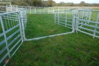 PRATTLEY SHEEP HANDLING SYSTEM - 2