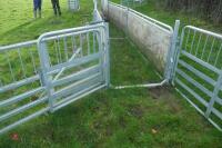 PRATTLEY SHEEP HANDLING SYSTEM - 3