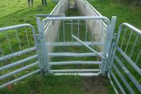 PRATTLEY SHEEP HANDLING SYSTEM - 4