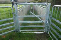 PRATTLEY SHEEP HANDLING SYSTEM - 5