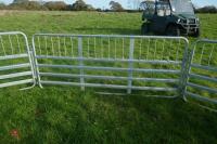 PRATTLEY SHEEP HANDLING SYSTEM - 11