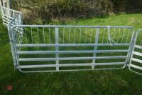 PRATTLEY SHEEP HANDLING SYSTEM - 14