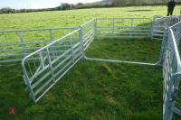 PRATTLEY SHEEP HANDLING SYSTEM - 18