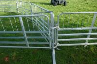 PRATTLEY SHEEP HANDLING SYSTEM - 19