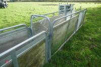 PRATTLEY SHEEP HANDLING SYSTEM - 22