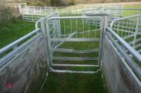 PRATTLEY SHEEP HANDLING SYSTEM - 39