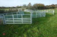 PRATTLEY SHEEP HANDLING SYSTEM - 40