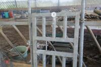 HEAVY DUTY GALVANISED REAR RACE GATE - 2