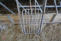 METAL SHEEP GUILLOTINE RACE GATE - 2