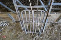 METAL SHEEP GUILLOTINE RACE GATE - 5