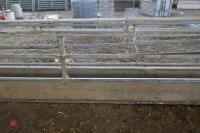 3 X POLDENVALE 15' SHEEP FEED BARRIERS - 13