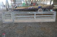 3 X POLDENVALE 15' SHEEP FEED BARRIERS - 2