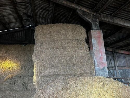 30 BALES OF HAY (BIDS PER BALE)