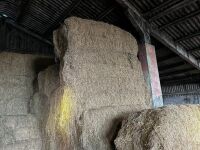 30 BALES OF HAY (BIDS PER BALE) - 3