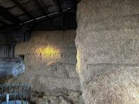 30 BALES OF HAY (BIDS PER BALE) - 4