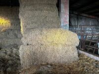 30 BALES OF HAY (BIDS PER BALE) - 6