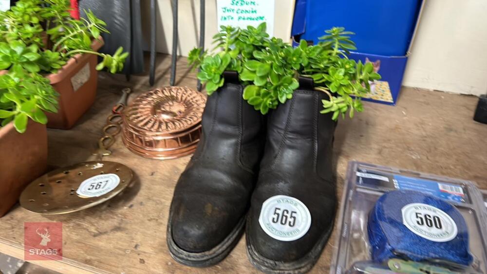 BOOT PLANTERS C/W YELLOW FLOWERING SEDUM