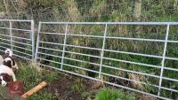 13' GALVANISED FIELD GATE - 3