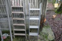 2 STEP LADDERS & LODT LADDER - 2