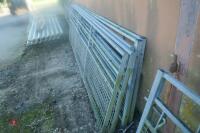 5 X HD GALVANISED SHEEP BARRIERS (7) - 2