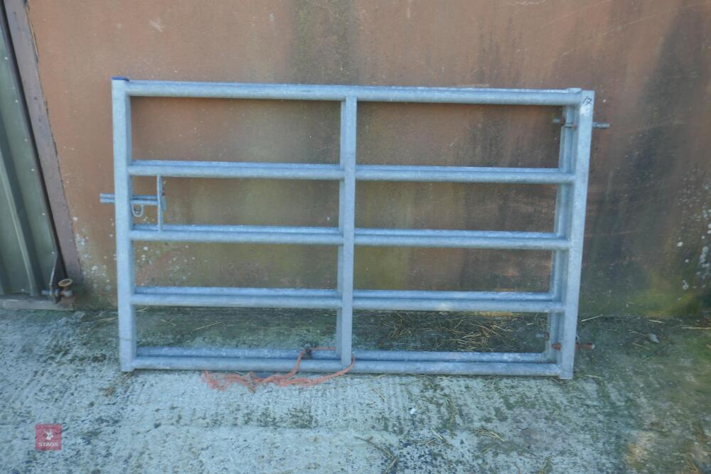 2 X 6' IAE YARD GATE (17)