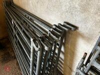 8 X 6' GALVANISED HURDLES (79) - 3