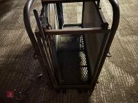 POLDENVALE LAMB WEIGHER (109) - 6