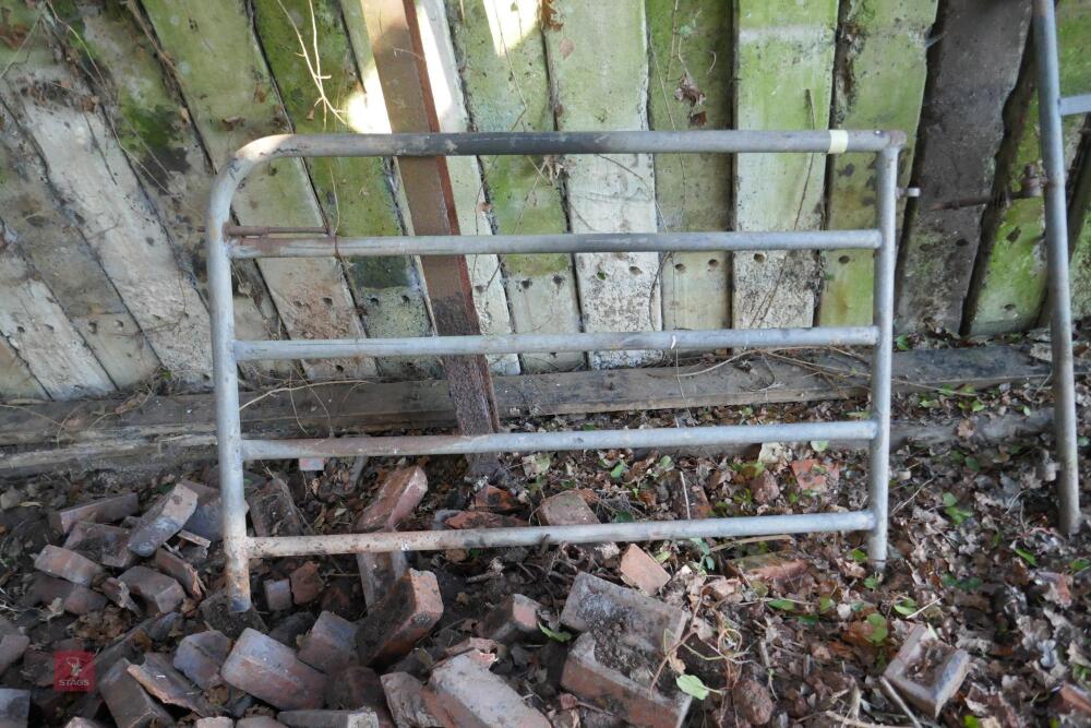 5' X 3'6'' GALVANISED GATE (1)