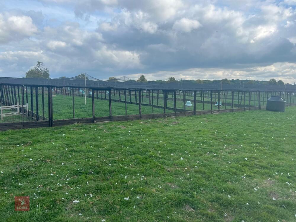 12 X 6' PEN SECTIONS (8 PLAIN - 4 GATED)