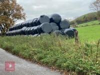 10 ROUND BALES OF 2023 1ST CUT HAYLAGE - 2