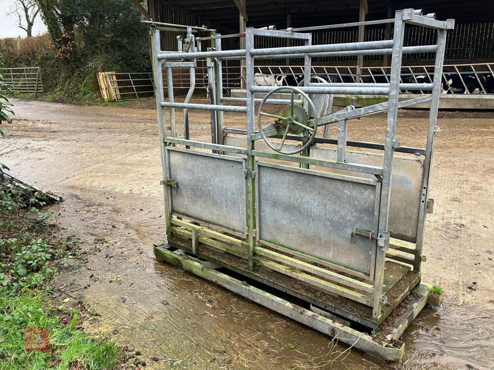 CATTLE WEIGH CRATE