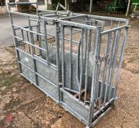 IAE GALVANISED CATTLE CRUSH