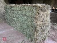 10 BALES OF SUPER QUALITY SOF MEADOW HAY