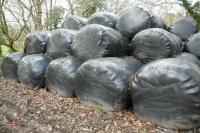 20 ROUND BALES OF 2023 SILAGE