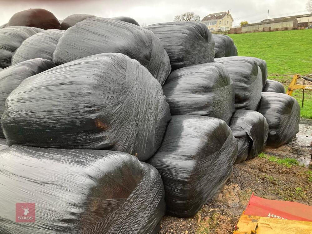 50 BALES OF 2023 SILAGE