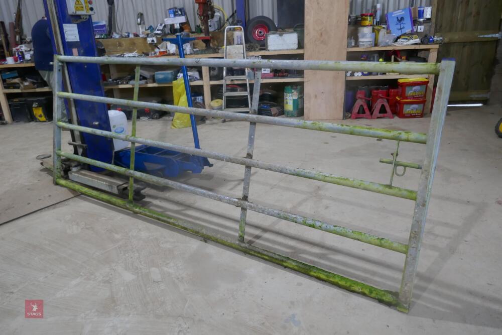 IAE 10' GALVANISED GATE