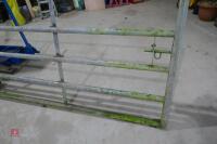 IAE 10' GALVANISED GATE - 3