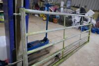 IAE 10' GALVANISED GATE - 4